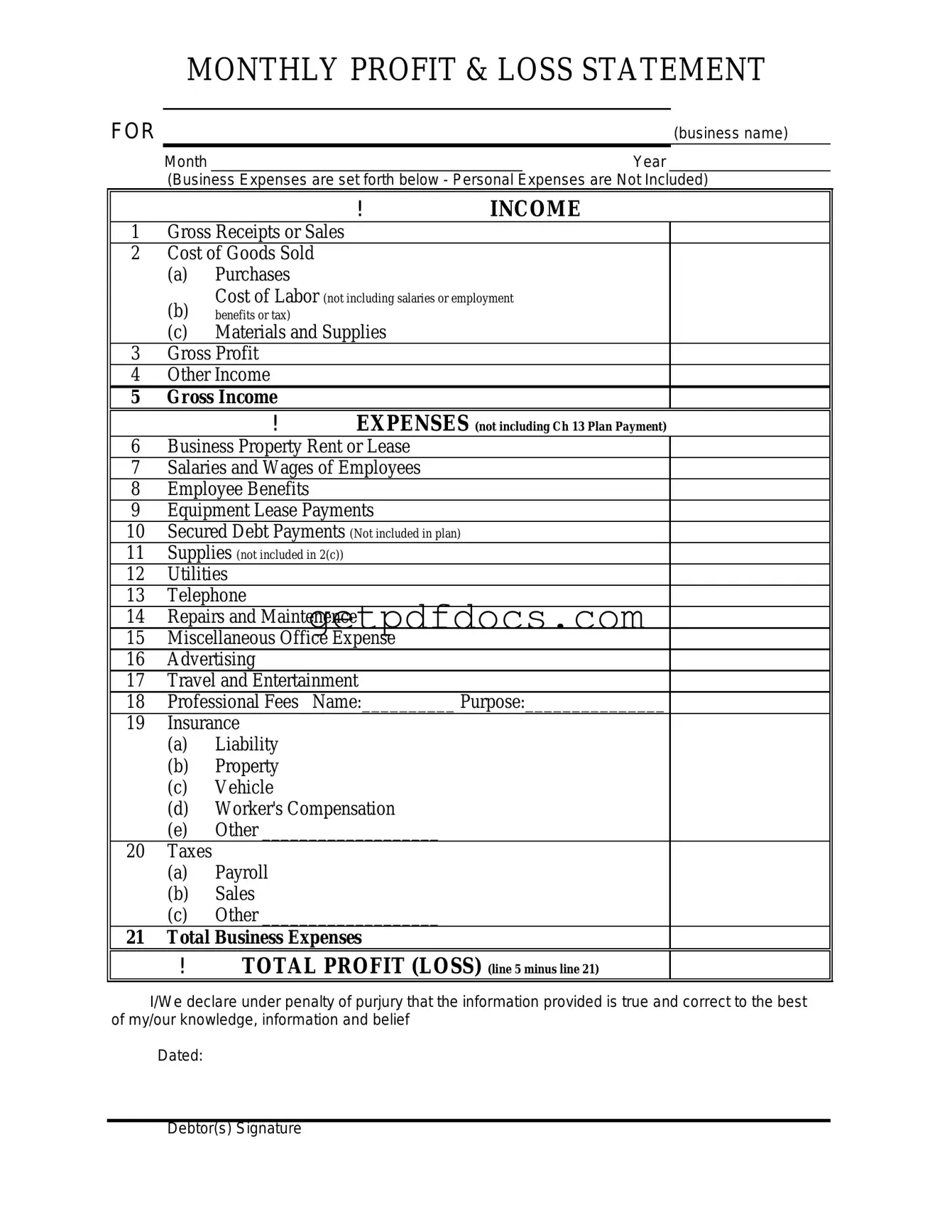 Fill in a Valid Profit And Loss Template