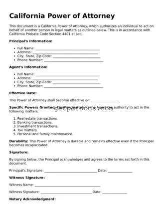 Attorney-Approved Power of Attorney Form for California State
