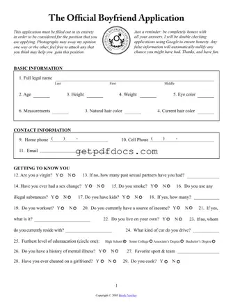 Fill in a Valid Boyfriend application form Template