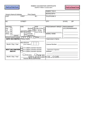 Fill in a Valid Rabies Certificate Template