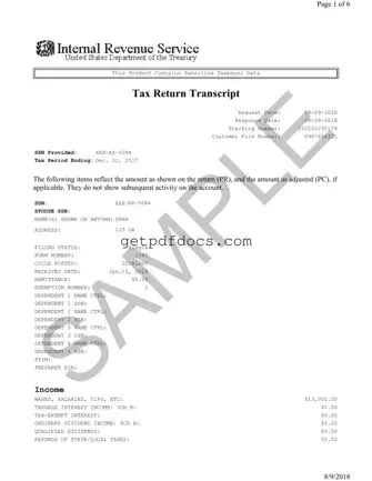 Fill in a Valid Sample Tax Return Transcript Template